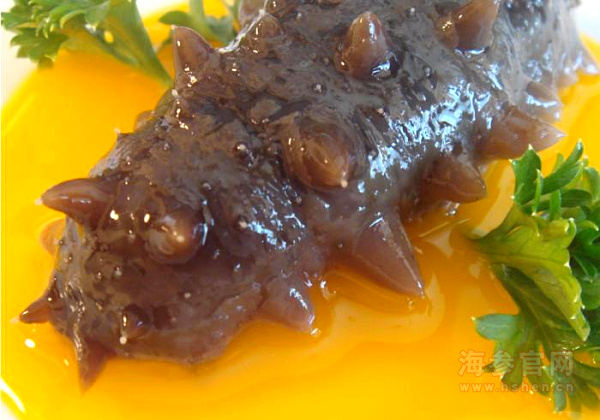 千鸿海参：以品质与普惠，重塑滋补新常态